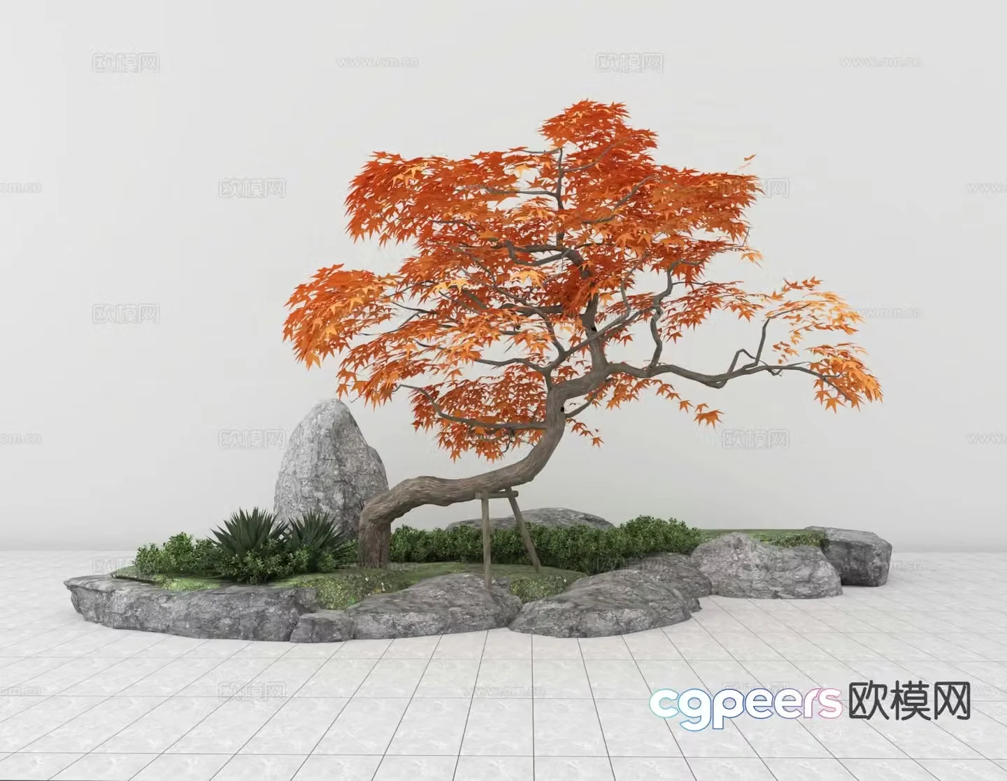 Landscape sketch red maple tree 3d model