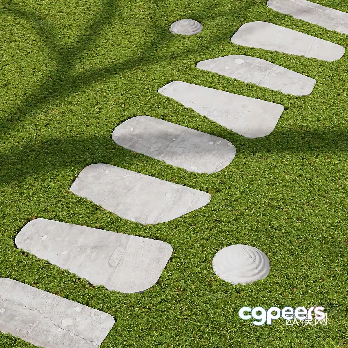 3D model of ground cover