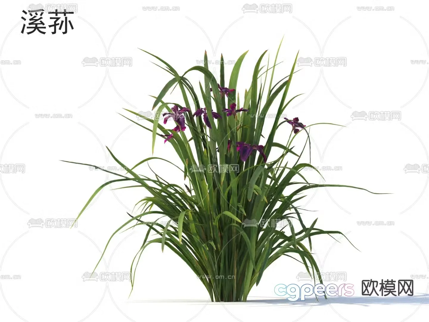 Xisun flowers and shrubs plant 3d model