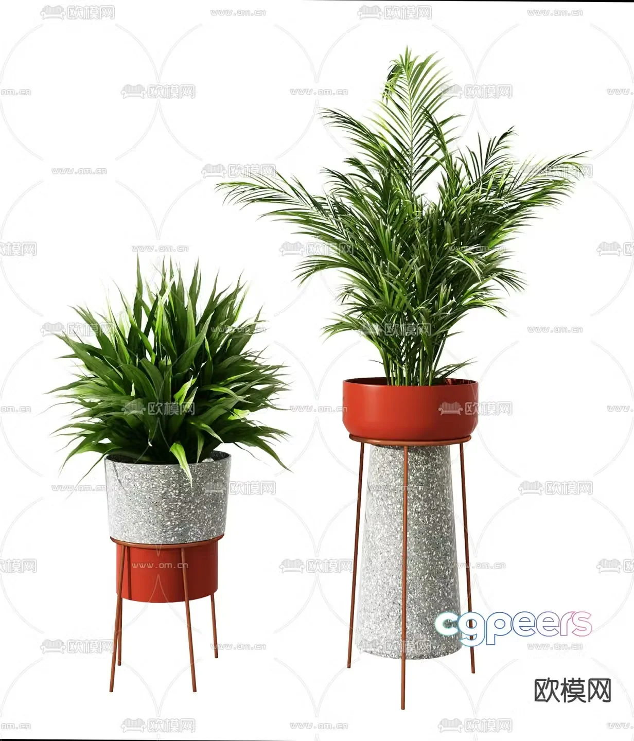 Plant potted 3d model
