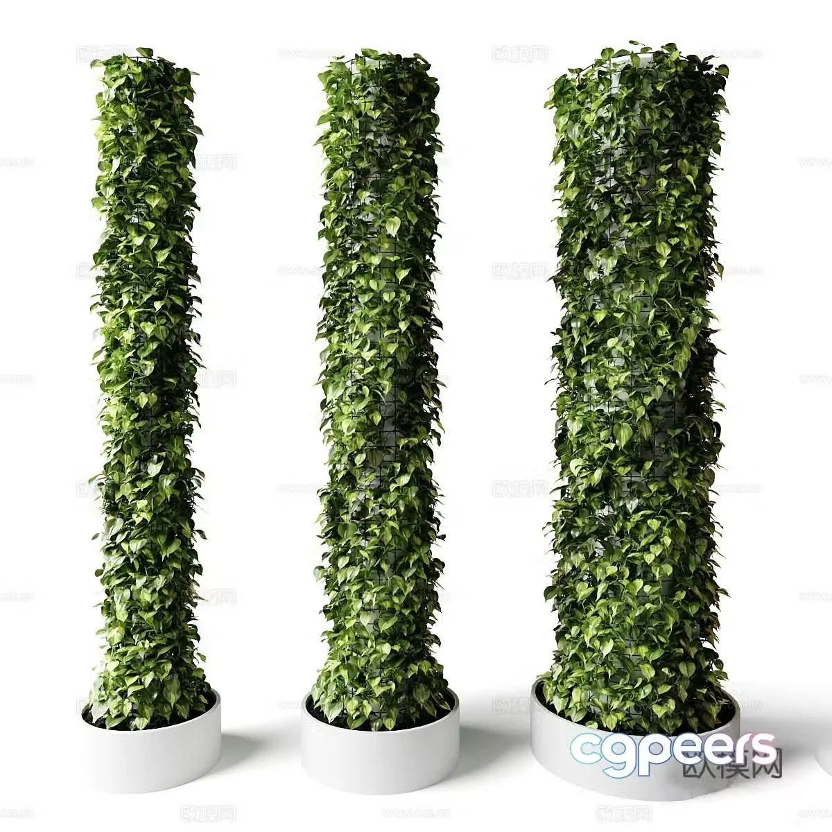 Modern green plant columns Plant columns Bamboo vine ivy Climbing ivy Climbing hedge 3d model
