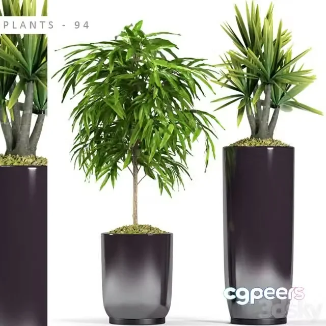 3ds Max Free – PLANTS 94