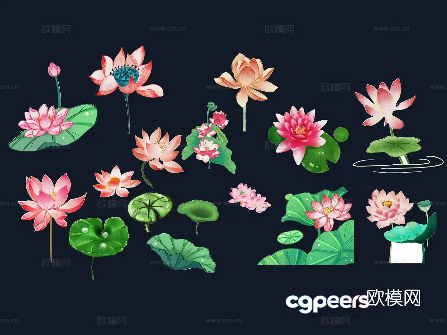 National tide carving plant silhouette lotus lotus leaves flowers national style carp fish 3d model