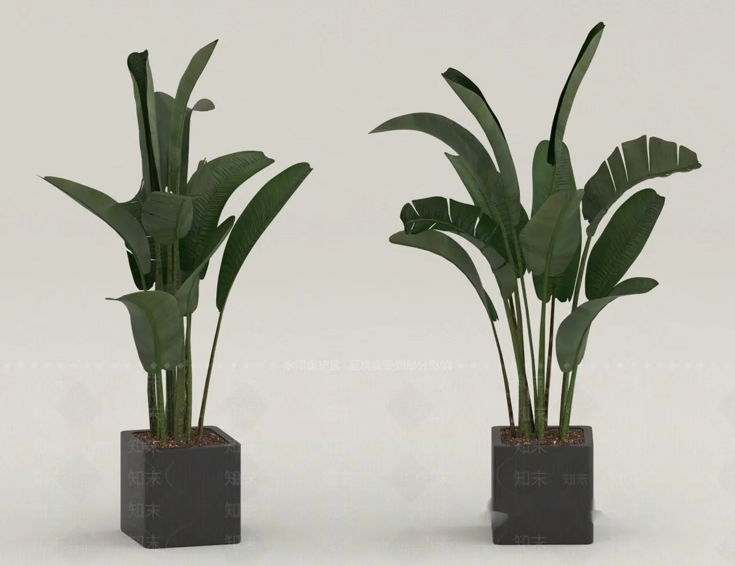 Two Potted Plants 3D Model – 18148 – VRAY Render