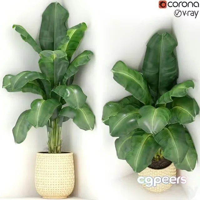 3ds Max Free – Plants collection 313