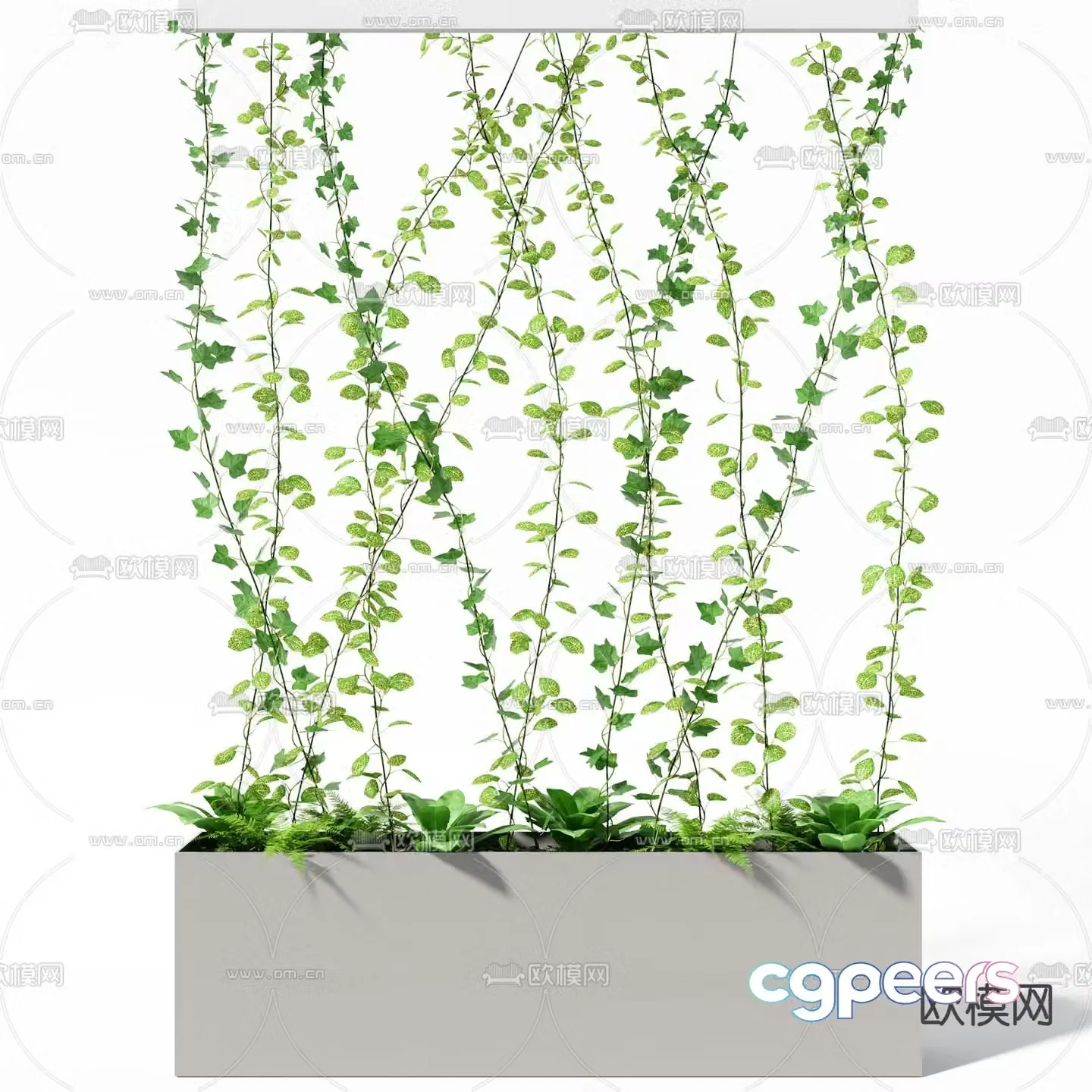 Morning glory flower box flower slot climbing 3D model