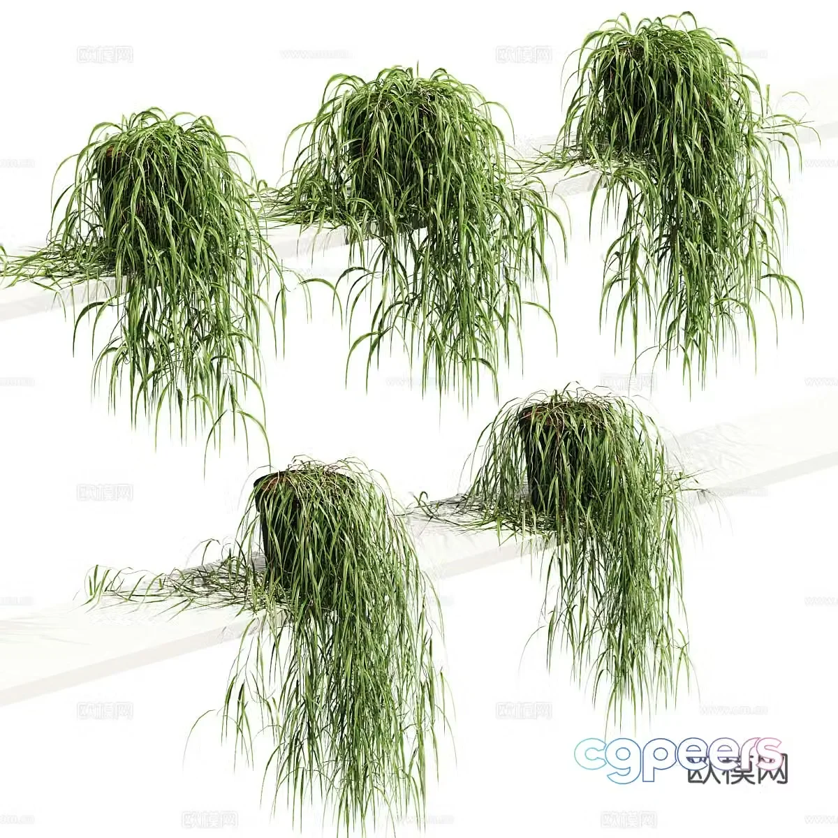 3D model of potted plants hanging on shelf