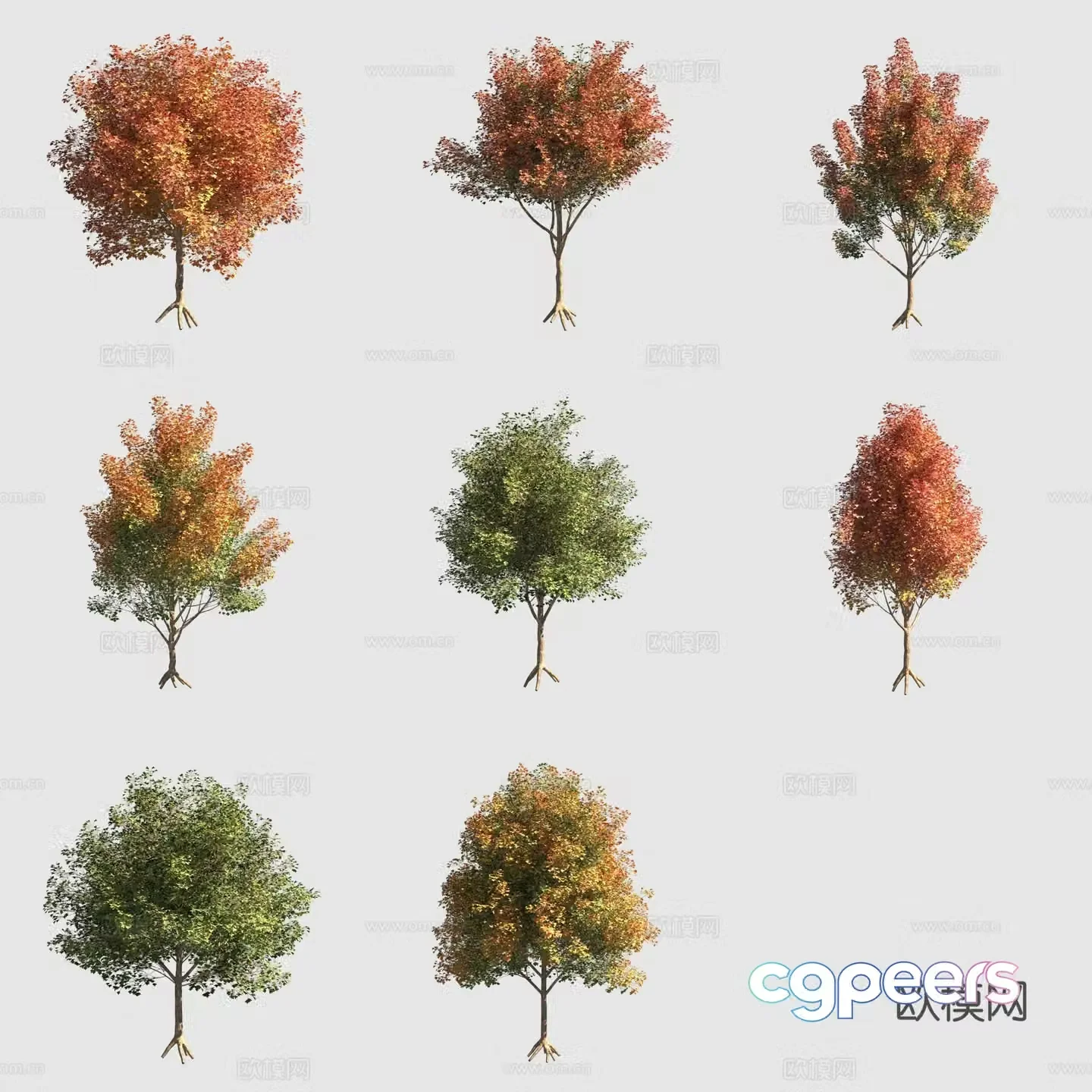 Triangular maple triangle maple autumn landscape tree 3d model
