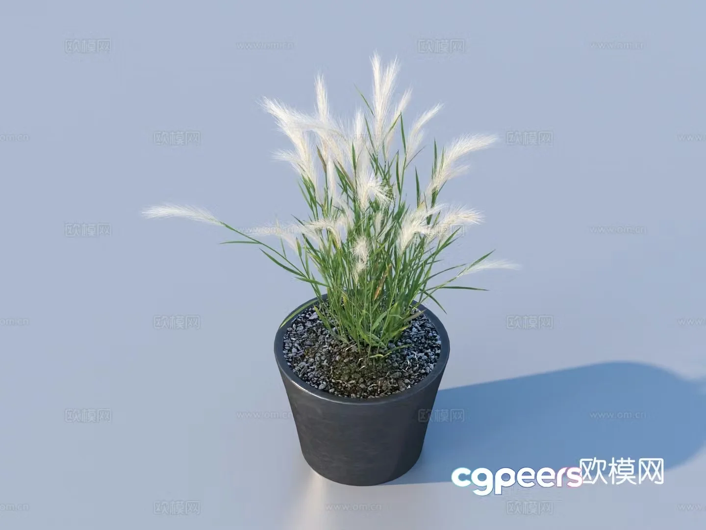 Flower pot pot green plants plant 3d model