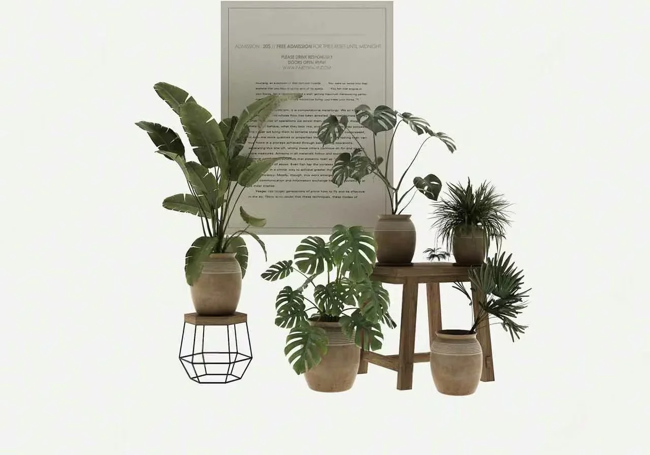 Modern Indoor Plants 3D Model – 10587 – VRAY Render