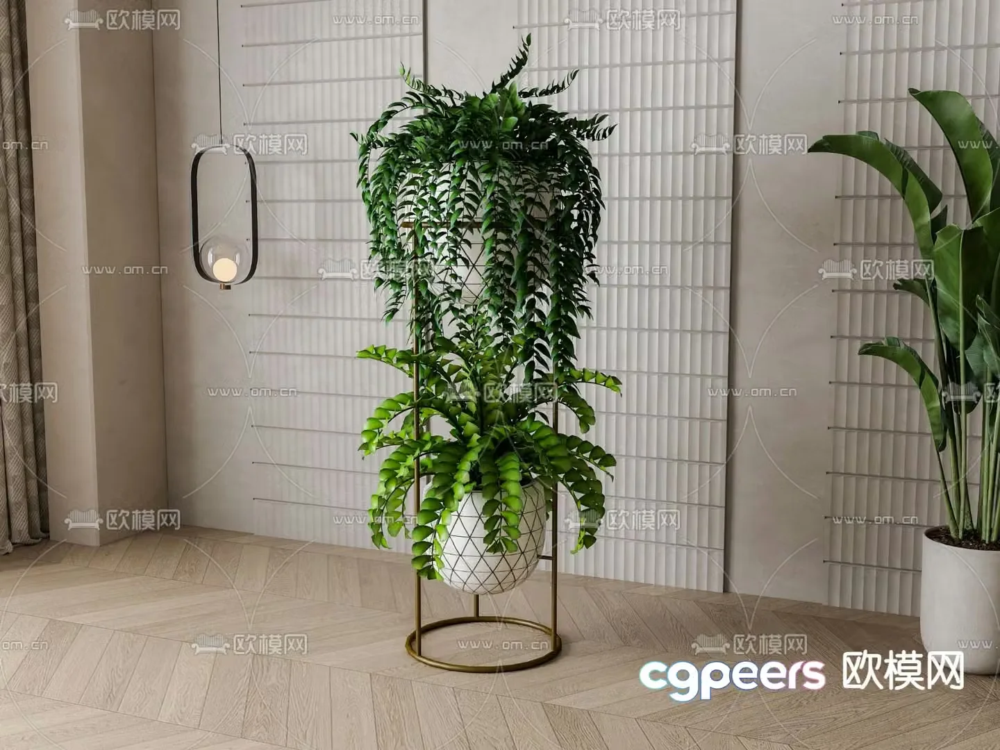 Hanging basket spider plant green plant potted plant 3D model