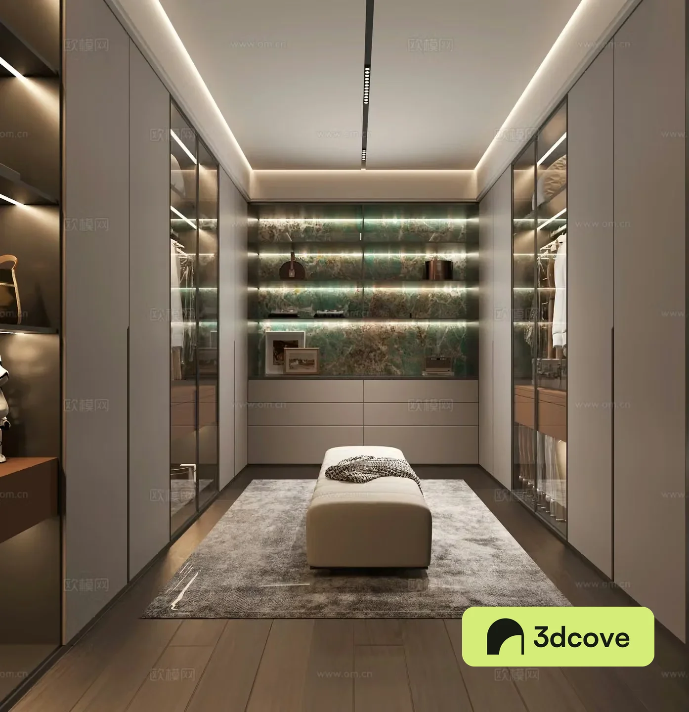 Modern light luxury cloakroom