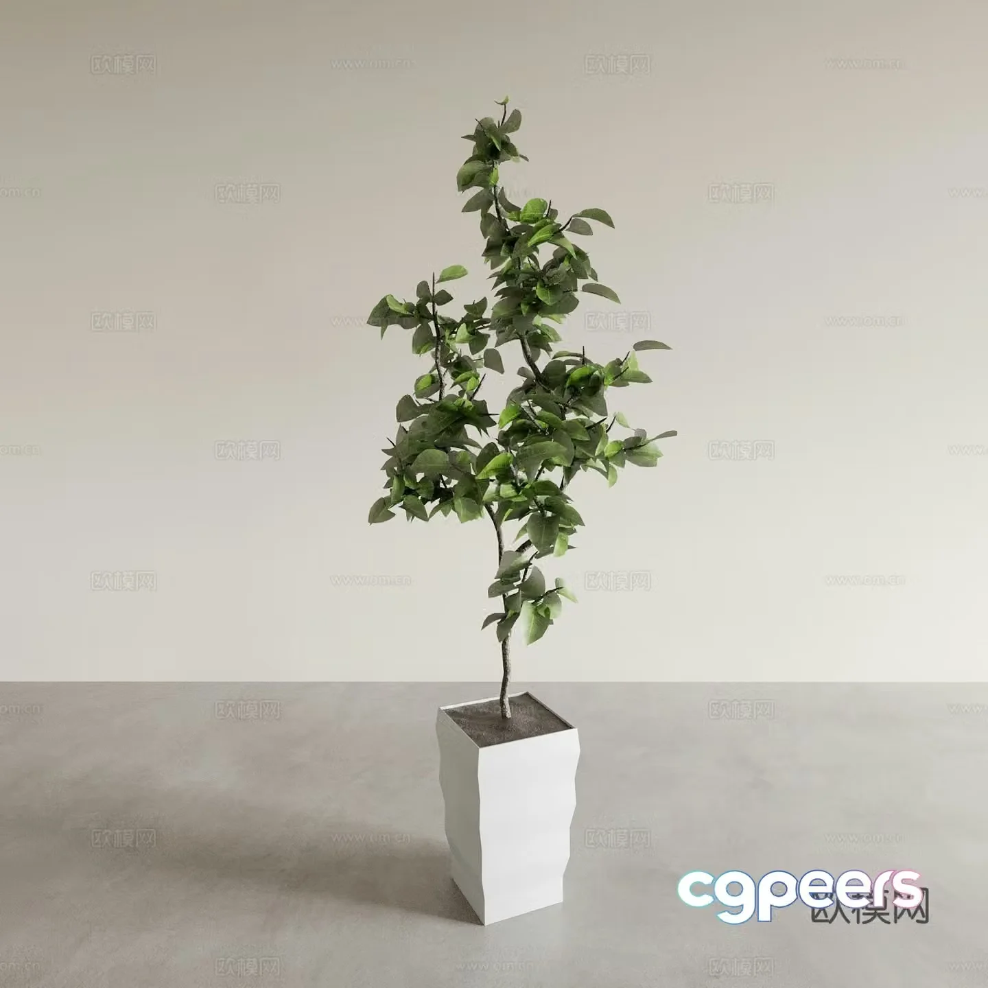 Bonsai pots indoor green plants plant ornaments plant flower pots vase flower pots 3D model