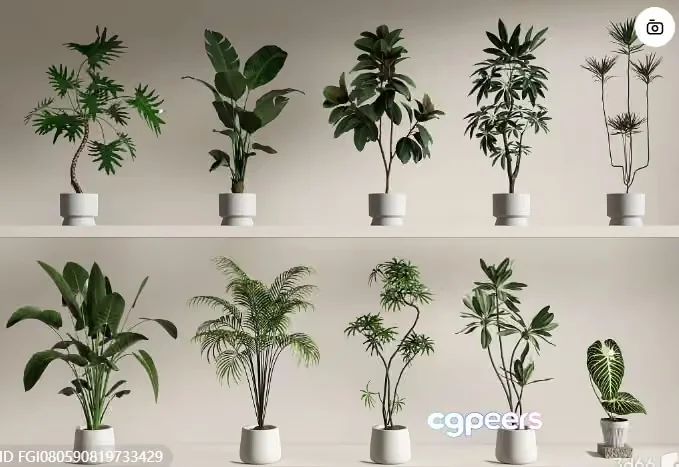Green Plants In Pots 3D Model – 15948 – VRAY Render