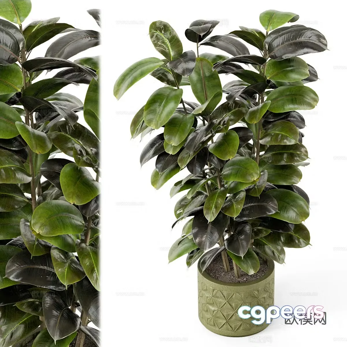 New Chinese green plant potted 3D model