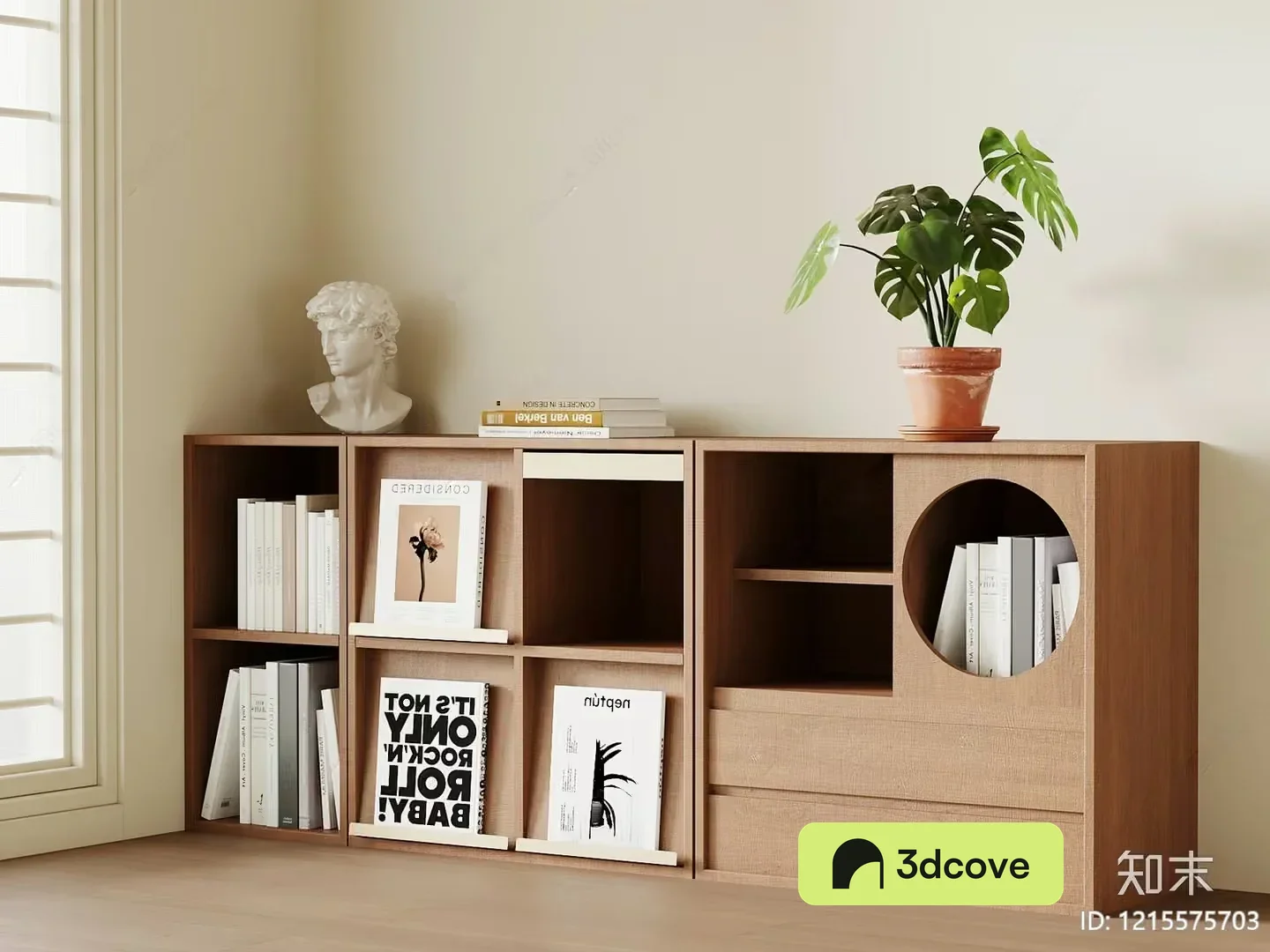 Cozy Bookshelf
