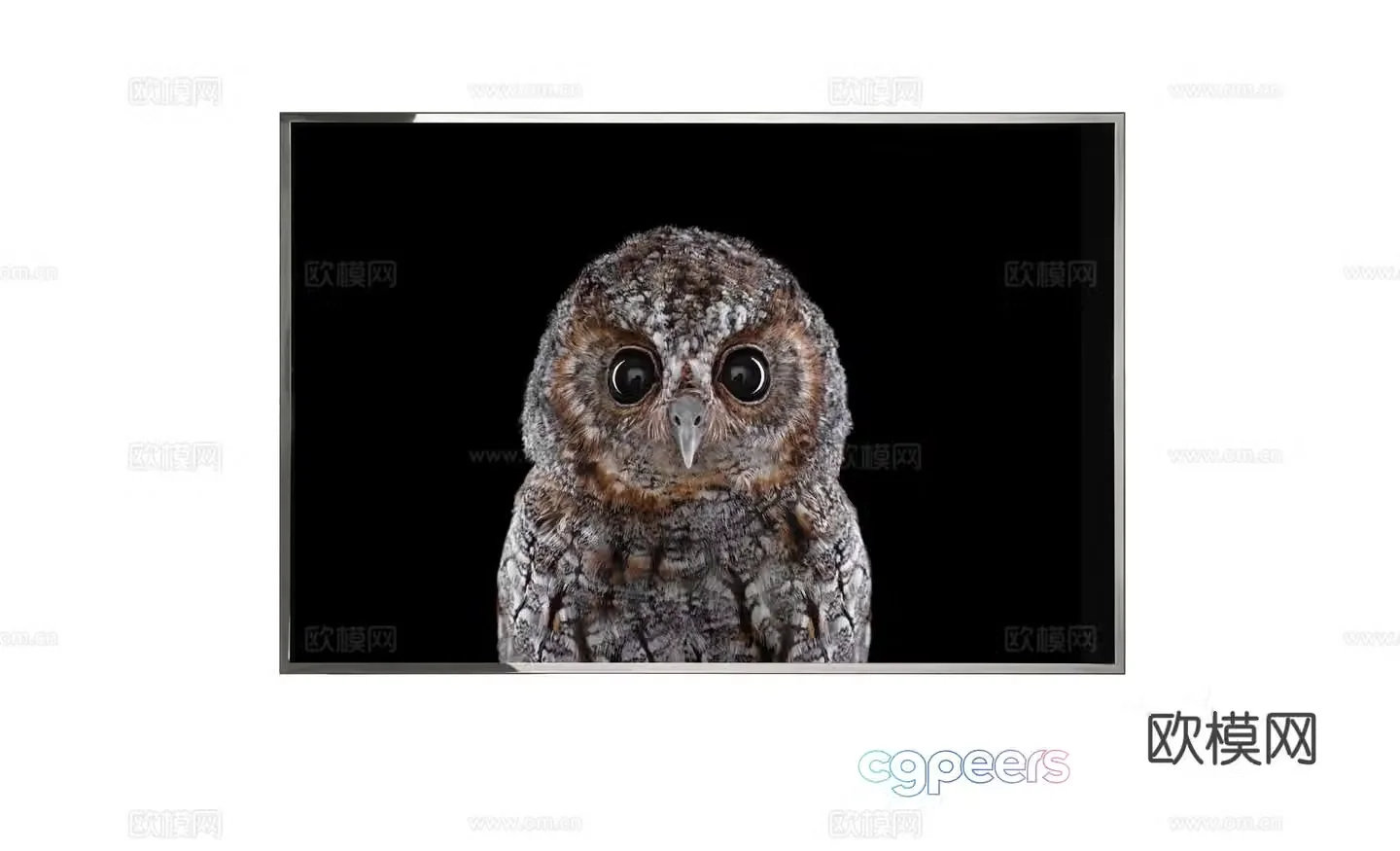 Visionnaire Postmodern Owl Hanging Painting 3D Model