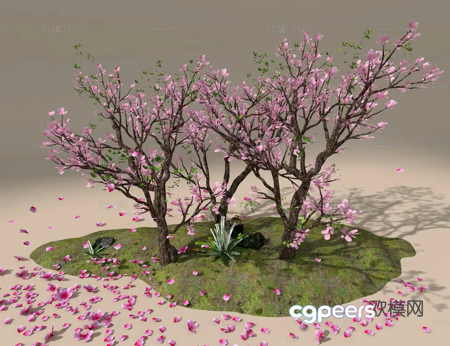 Peach Tree 3D Model
