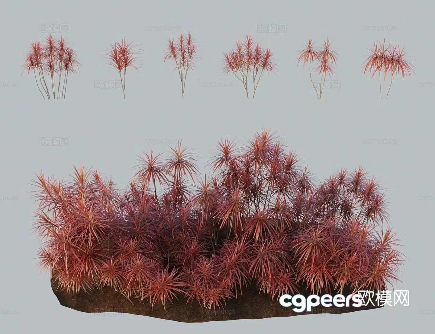 Modern landscape tree horsetail iron tree three-color millennium wood red edge dragon blood tree 3d model