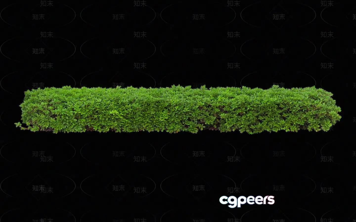 A Green Bush 3D Model – 11376 – VRAY Render