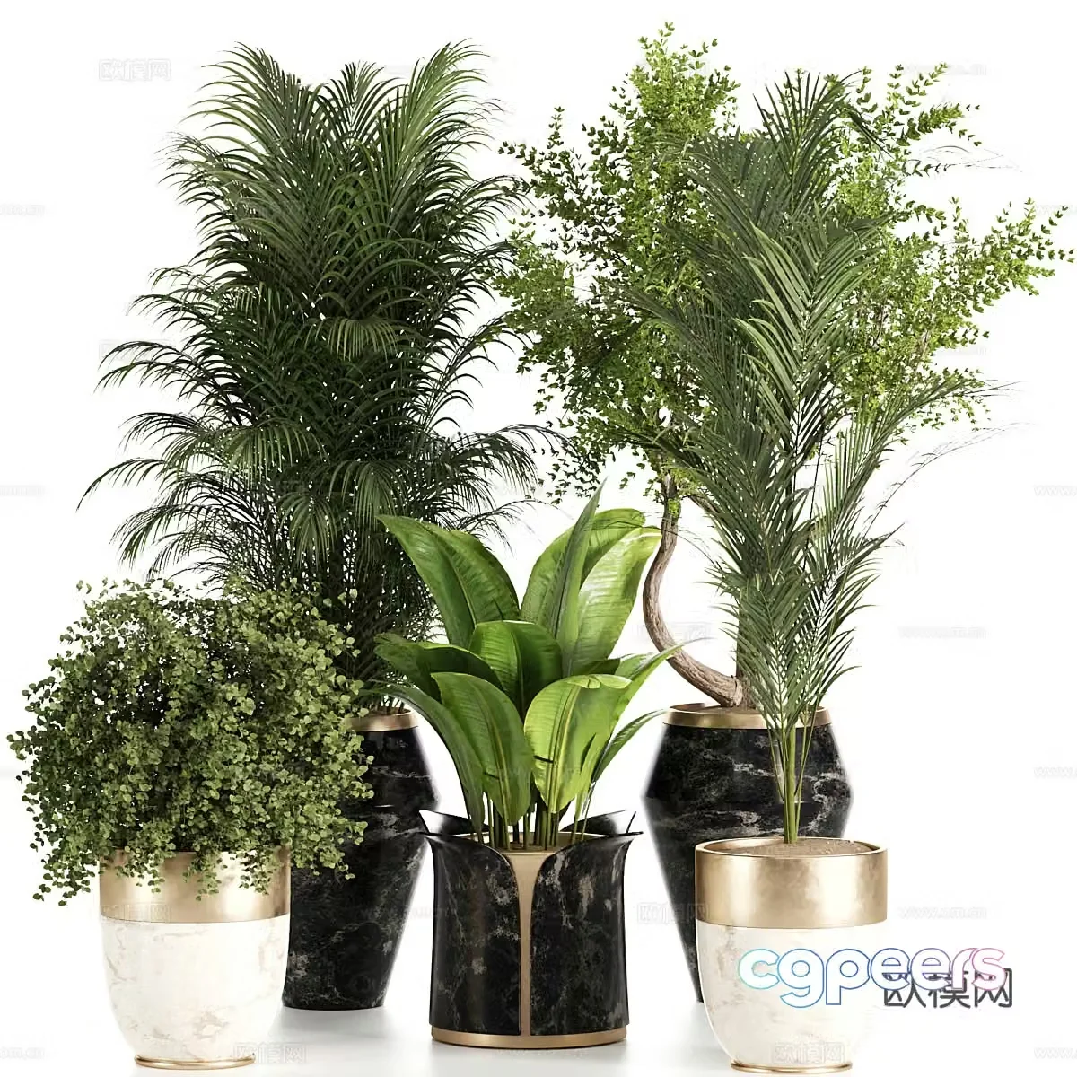 Green plant potted 3D model