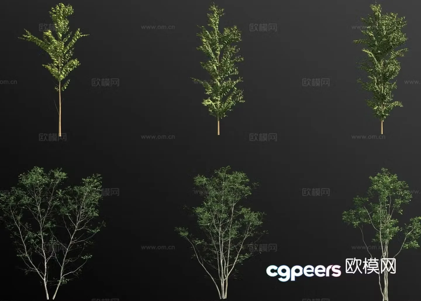Landscape tree small tree trees arbor 3d model
