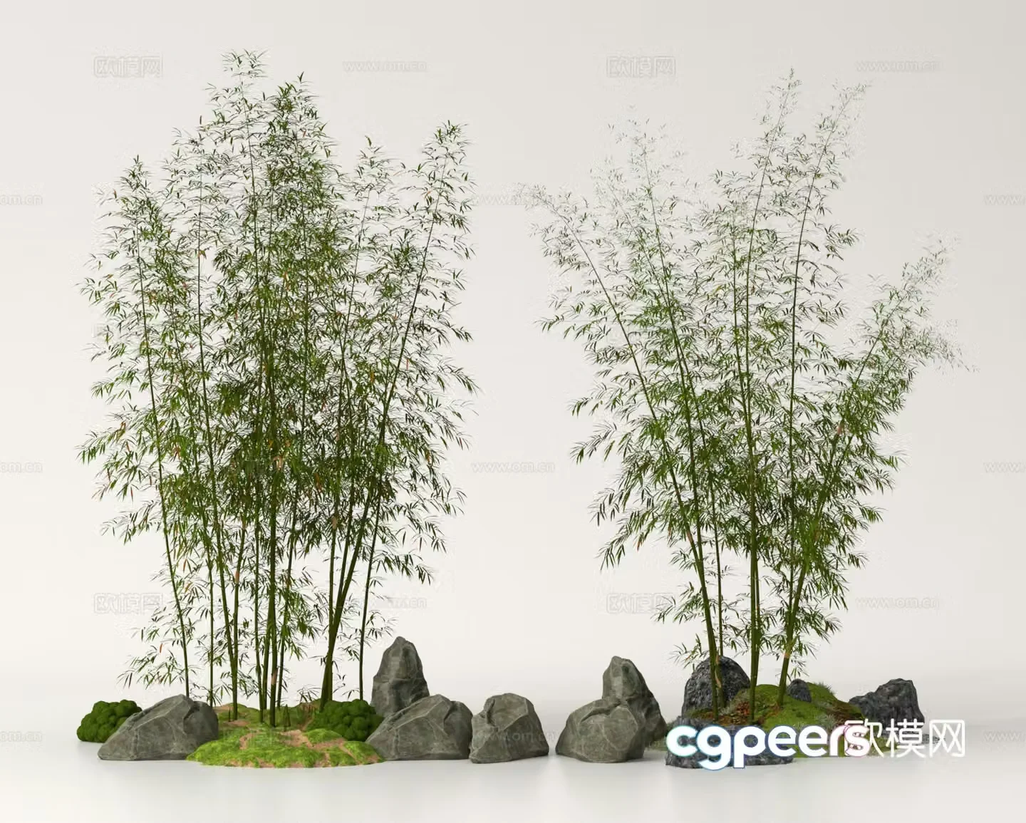 Bamboo Bamboo Forest Landscape Bamboo Garden Bamboo 3D Model