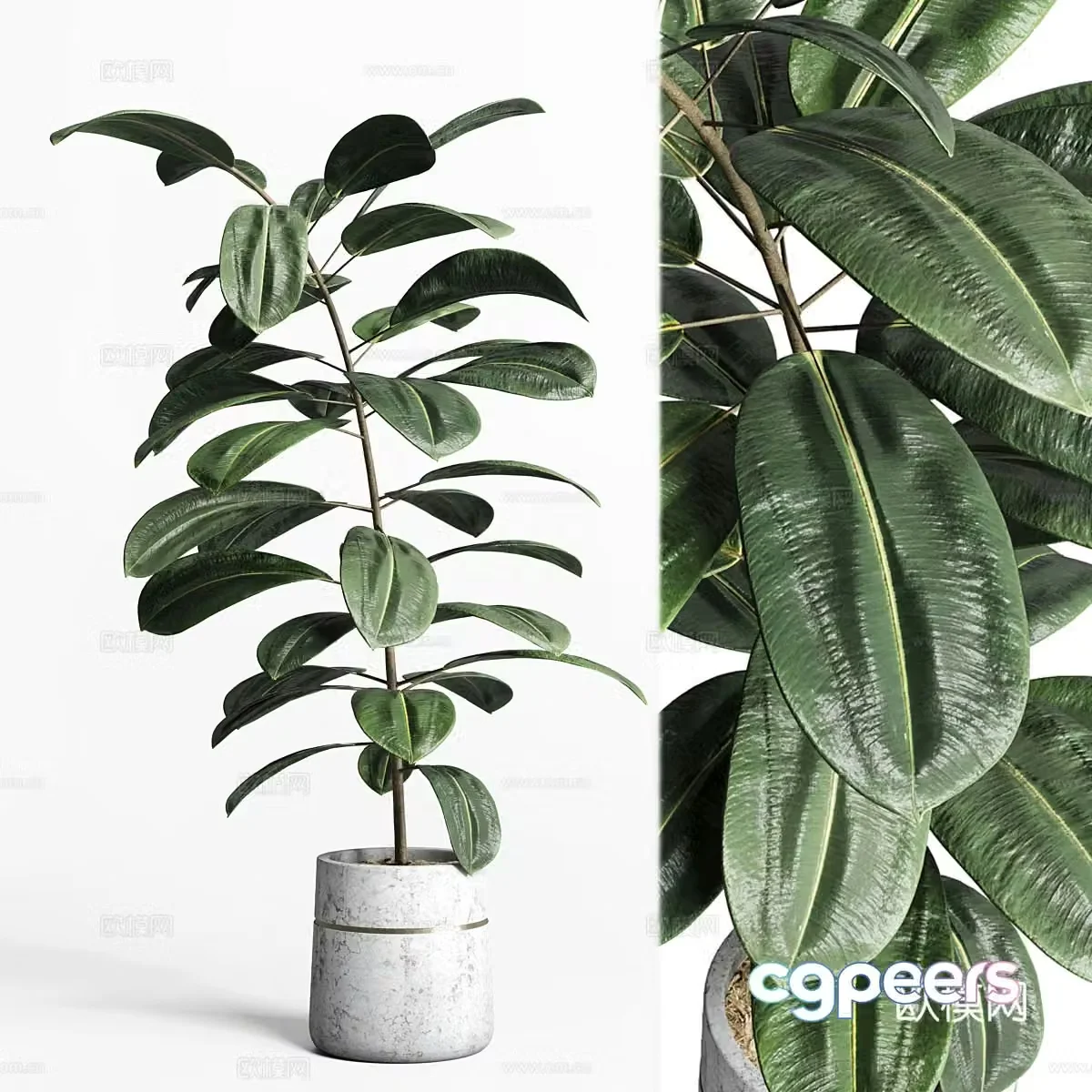 potted plant 3d model
