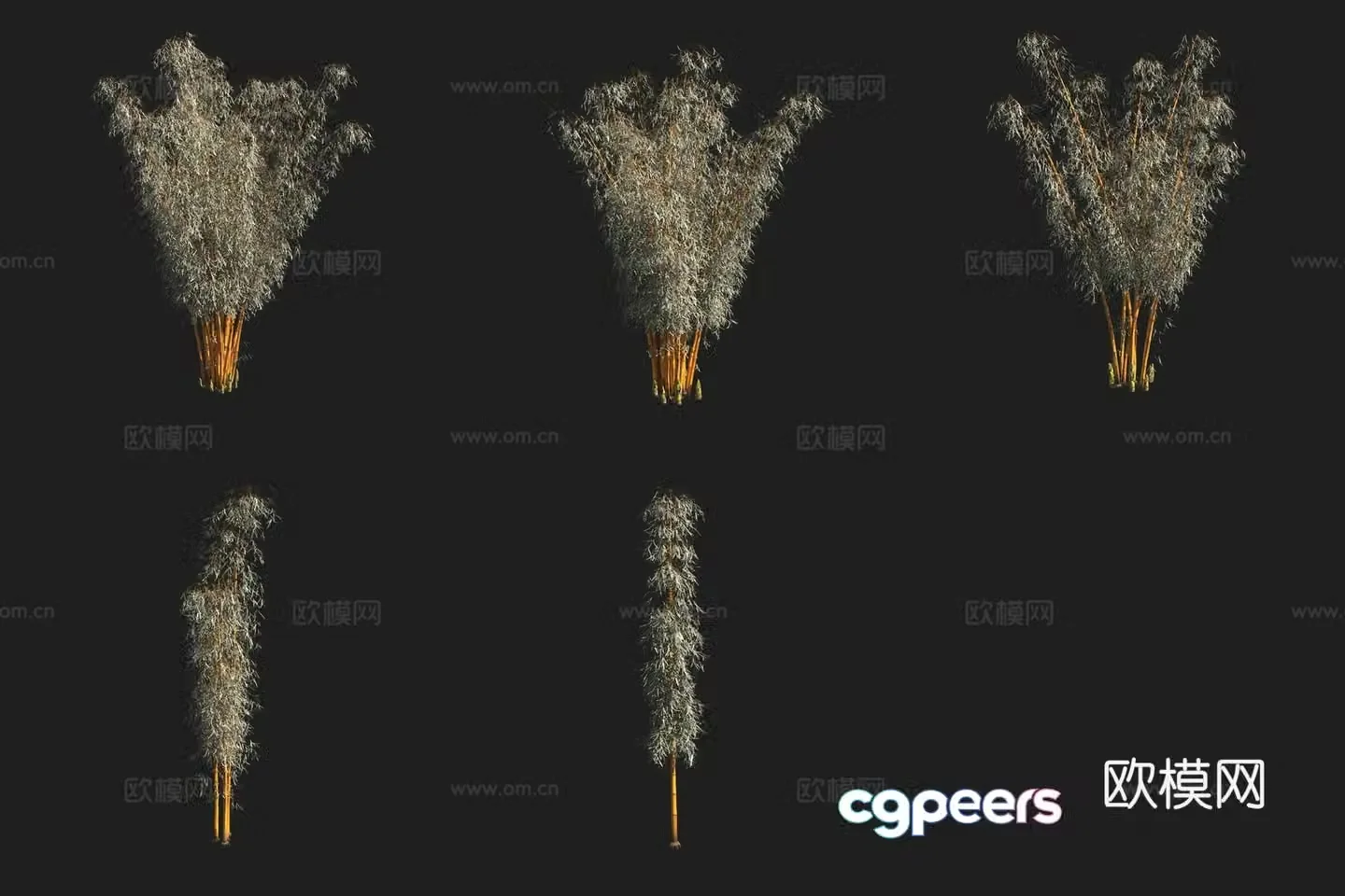 Dragon head bamboo 3d model