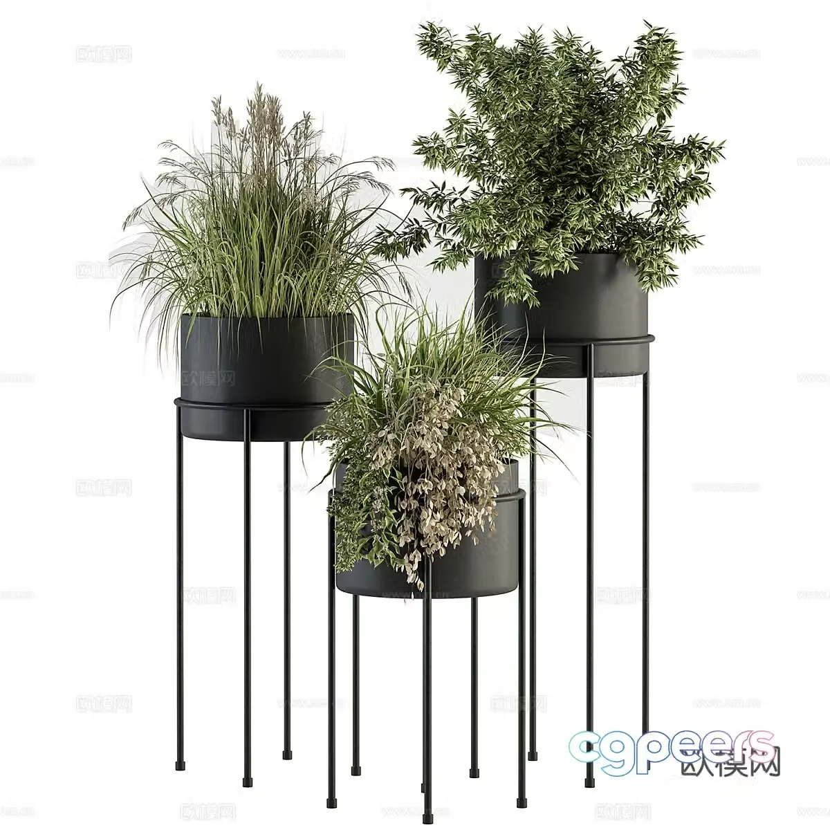 3D model of indoor potted plants