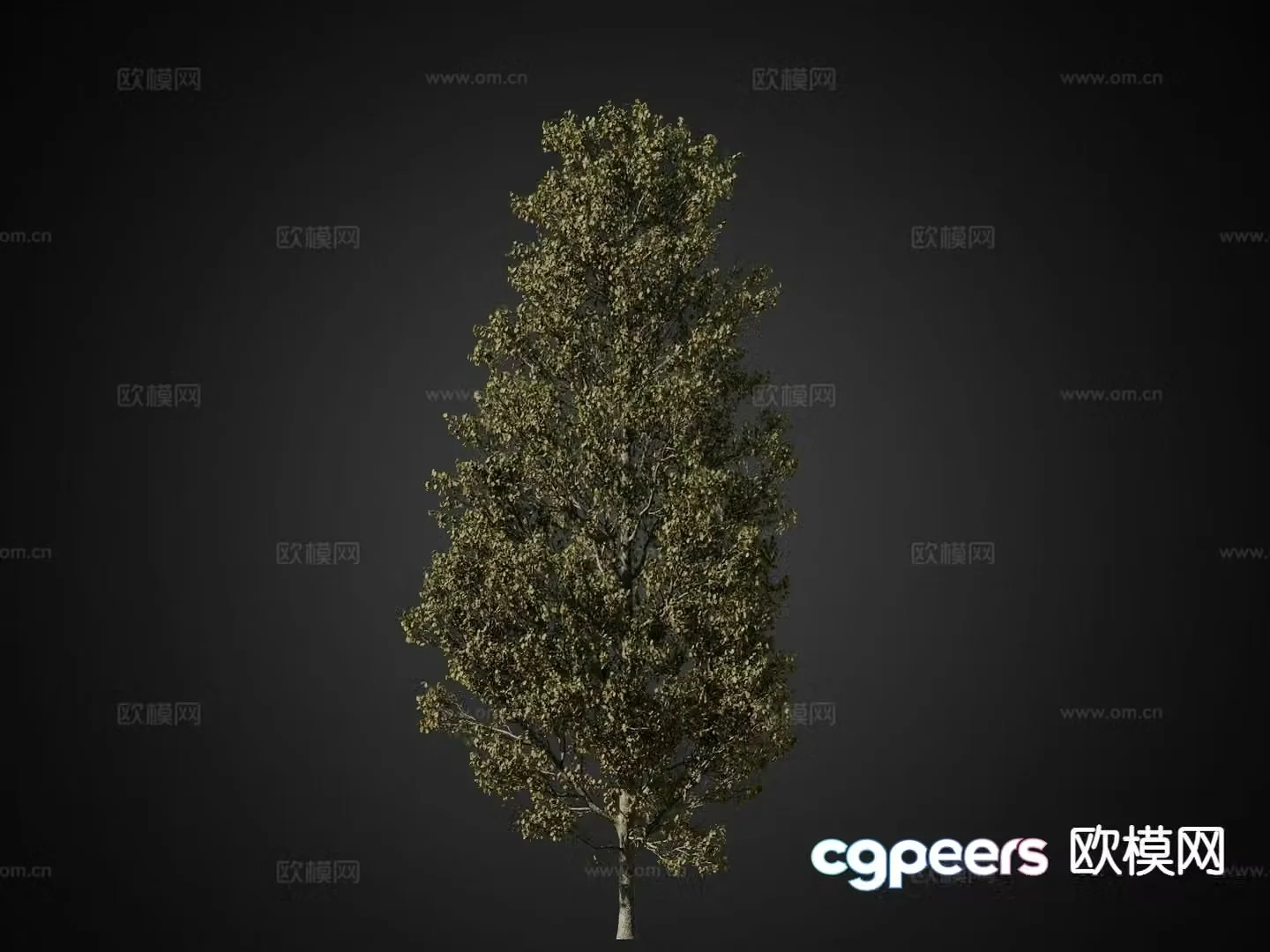 Autumn trees Landscape trees Trees 3d model