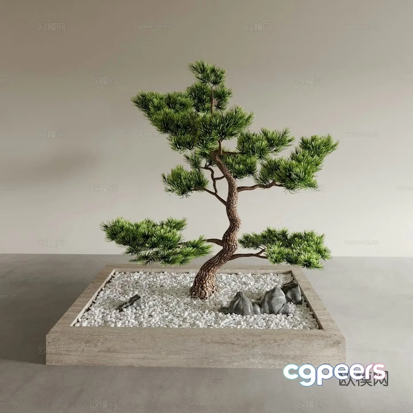 Bonsai potted plants welcome pine porch ornaments plant ornaments 3D model