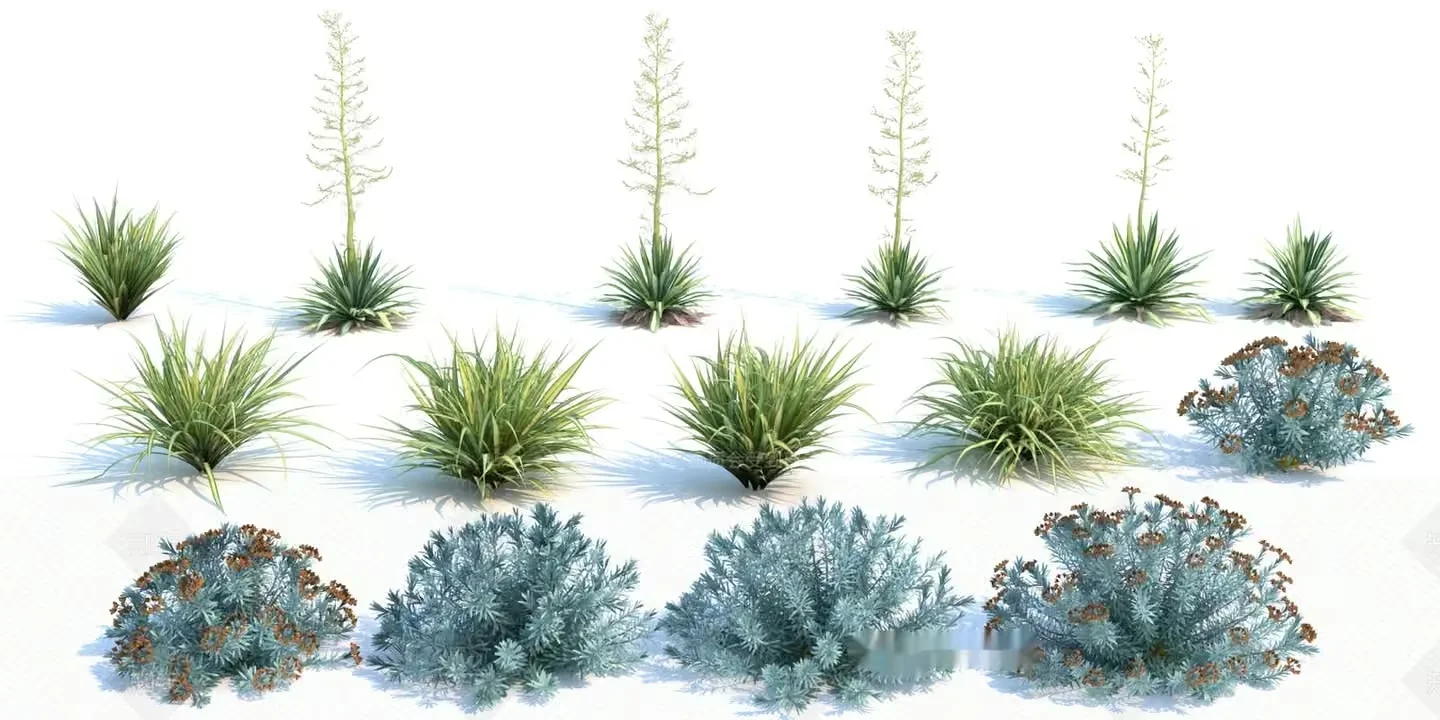 Desert Plants 3D Model – 11696 – VRAY Render