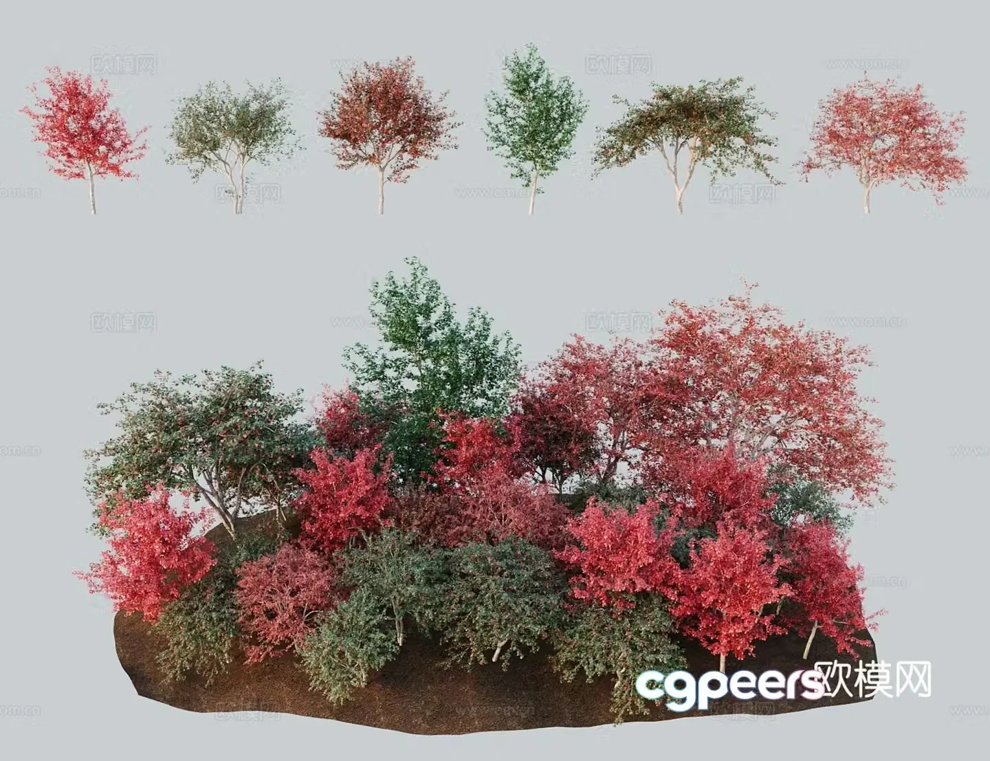Modern landscape tree Persian hawthorn 3D model
