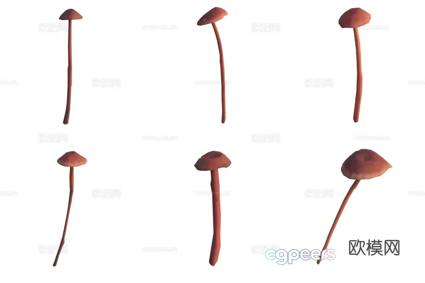 Mushroom fungi 3D model