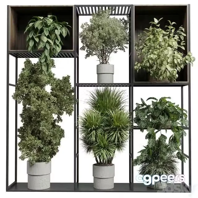 3ds Max Free – Standing metal shelf with a set of plants in wooden and metal boxes 419