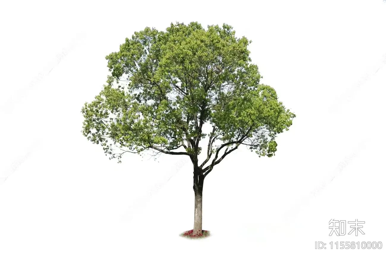 A Tree 3D Model – 10261 – VRAY Render