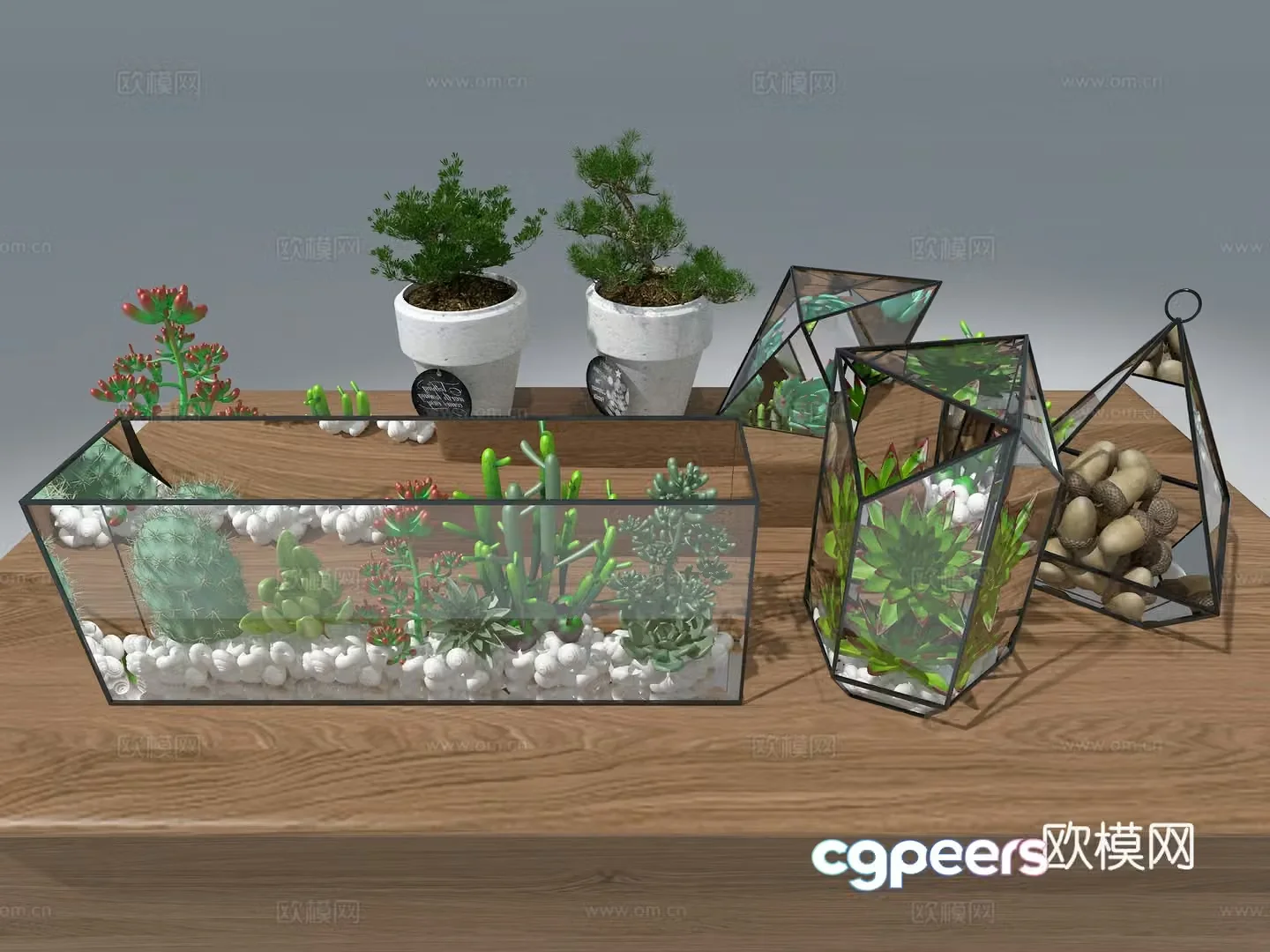 Succulent 3D model