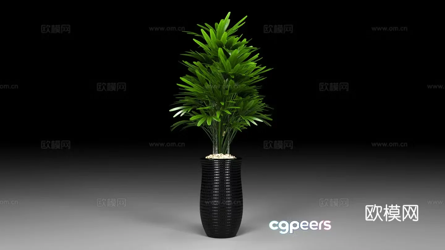 Green plant potted plants plant bonsai potted plants plant combinations flowers bonsai decoration ornaments green ivy 3D model