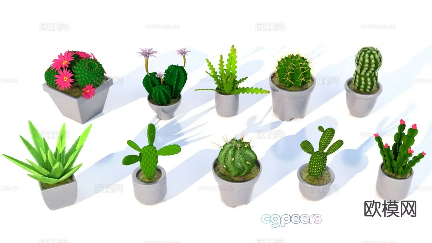 Cactus Aloe vera 3d model