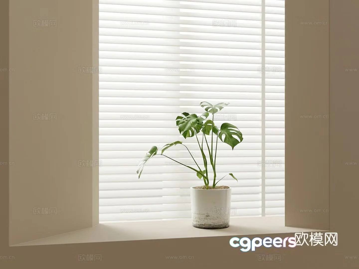 Modern green plants bonsai pot plants monstera 3d model