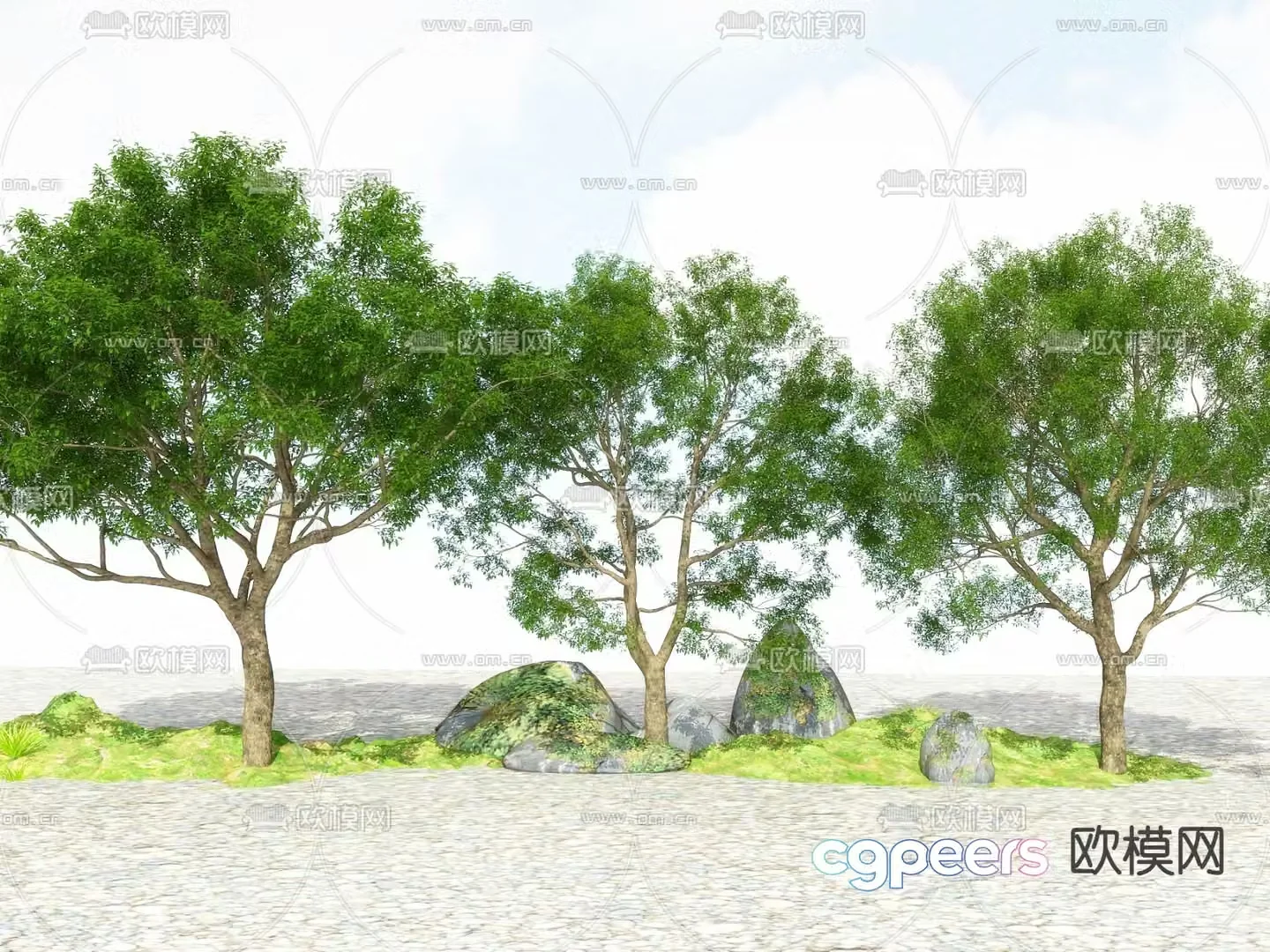 Landscape tree Street tree Big tree Tree Tree 3D model
