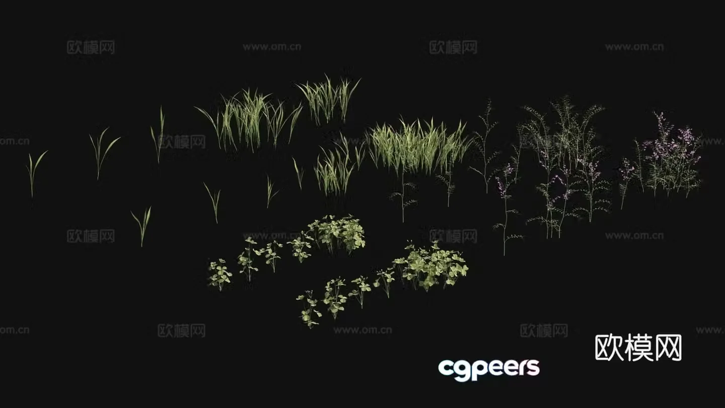 Outdoor flowers plants green plants 3d model