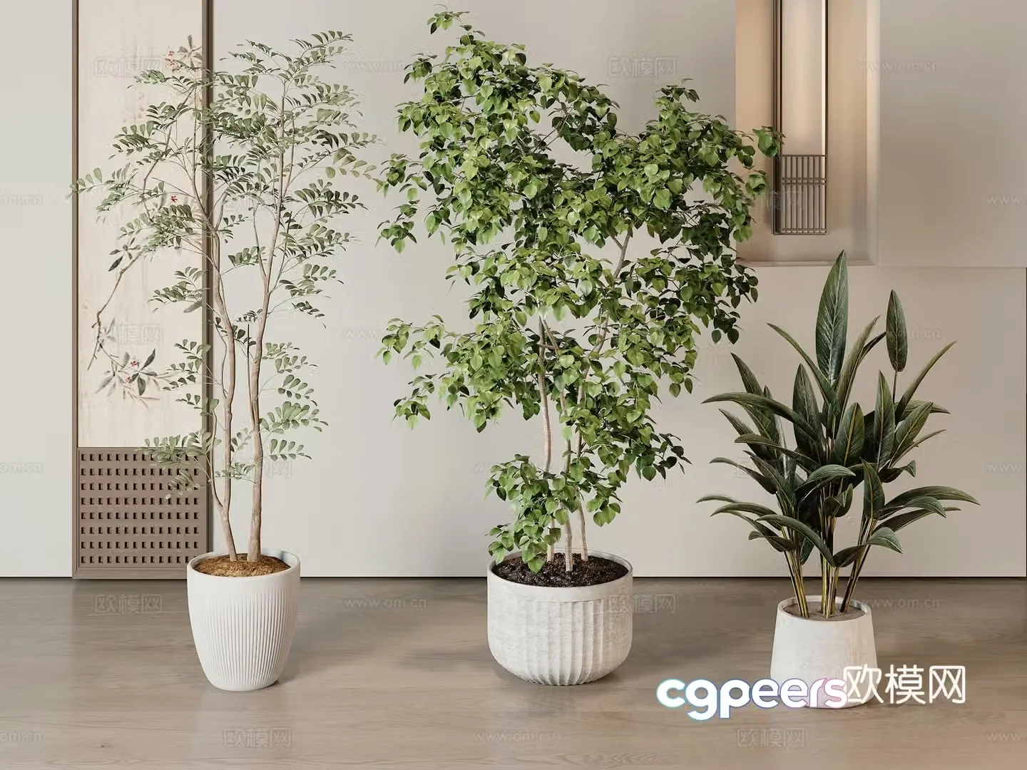 Modern green plant potted 3D model