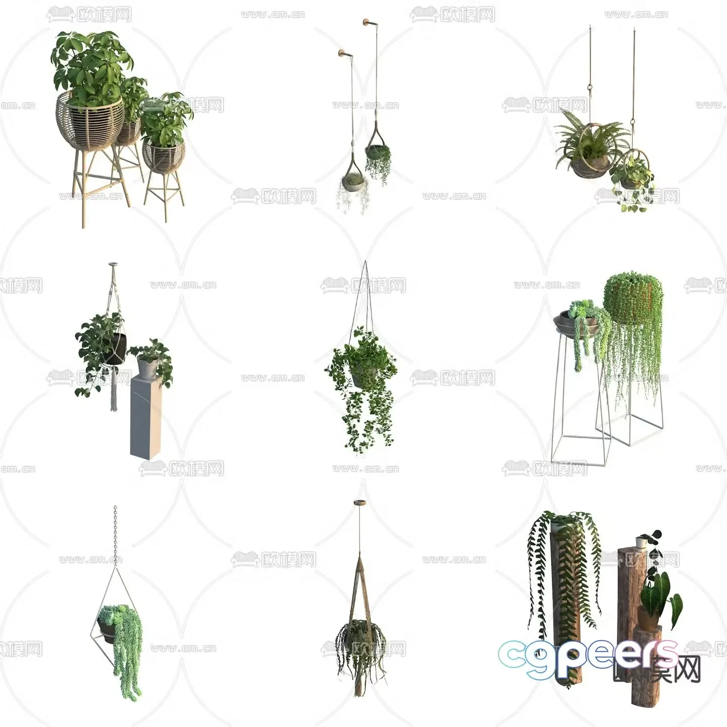 Potted plants green plants hanging basket 3D model
