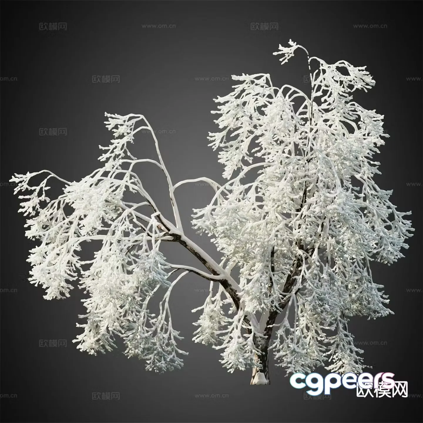 Snow-covered trees Winter trees Landscape trees 3d model