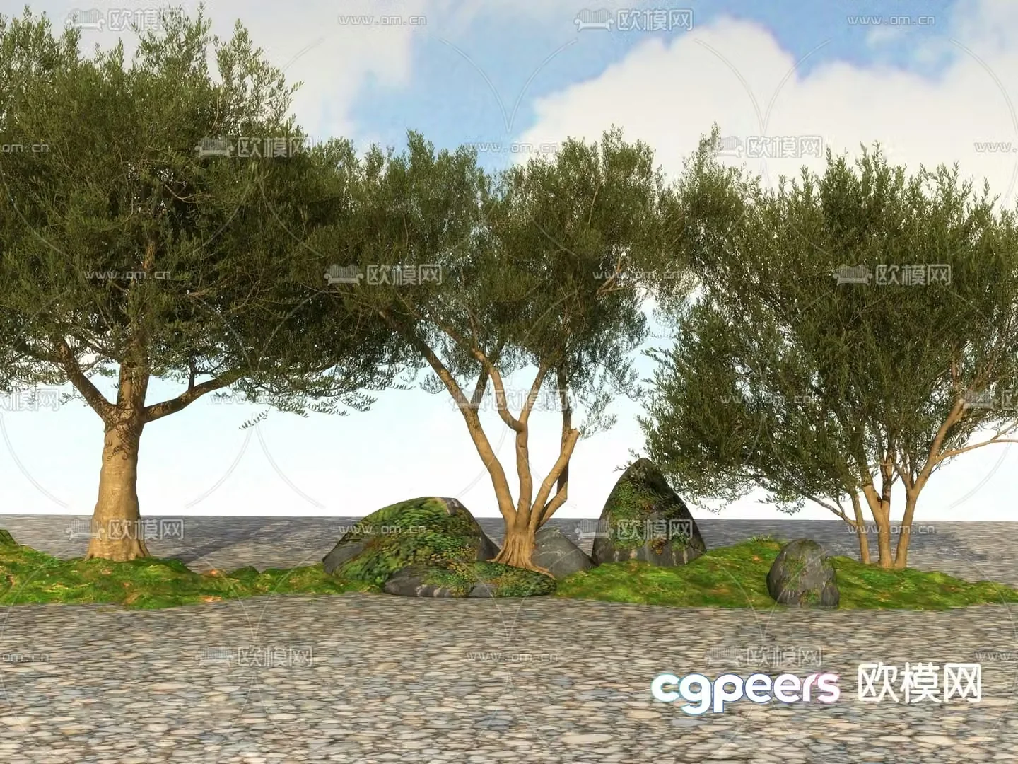 Big tree Landscape tree Street tree 3d model