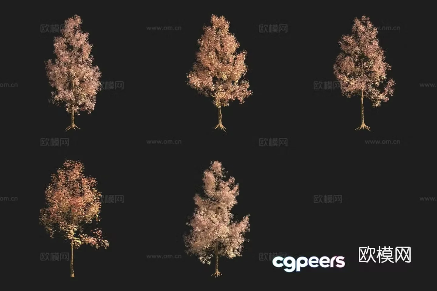 American Sweet Tree 3D Model