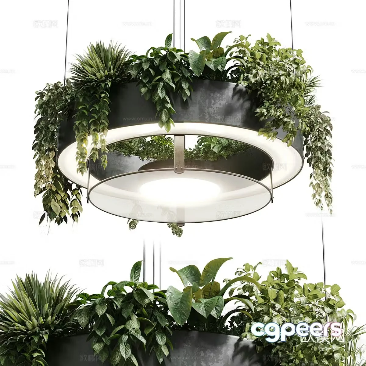 Modern round hanging green plant decorative pot light 3d model