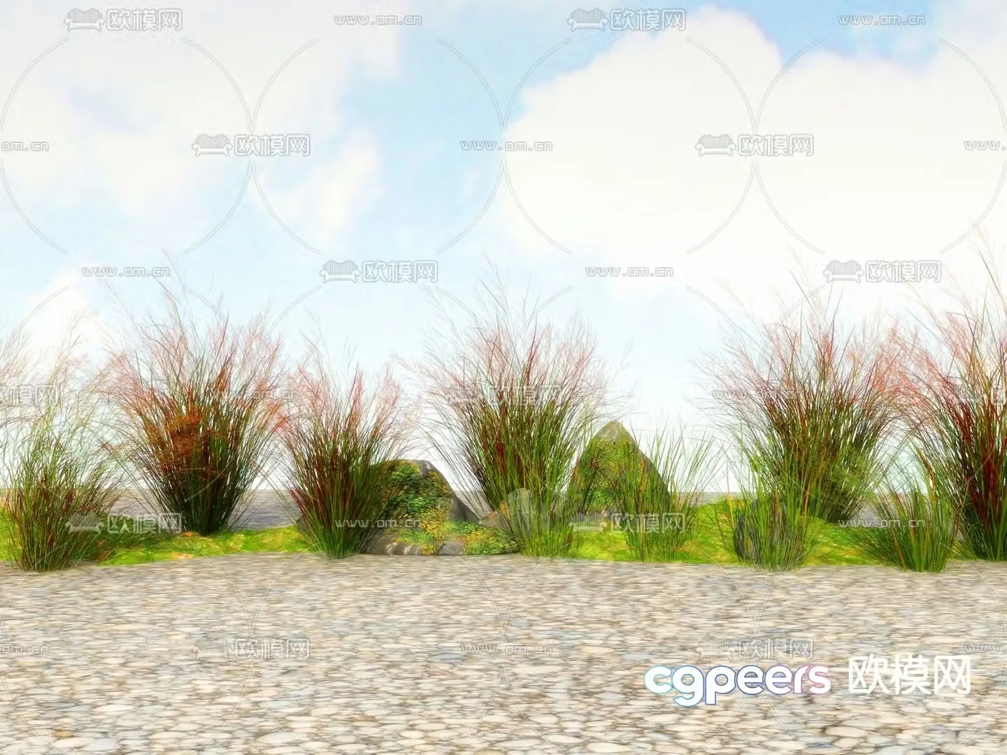 Flowers and plants Wildflowers 3D model